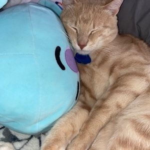 Meet your Posher, Mar